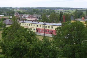 pomniki przyrody pod lupa petycja w sprawie drzew w gminie karniewo