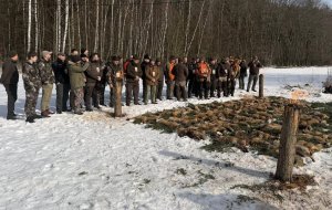 i makowskie polowanie na drapiezniki