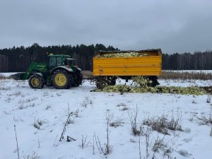 zimowa akcja mysliwych z goworowa i rolnikow z gm rozan