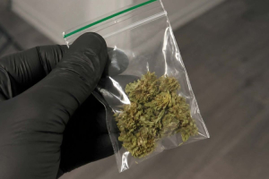 24 latek zatrzymany z marihuana grozi mu do 3 lat wiezienia