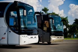 Darmowe autobusy na cmentarz w Makowie Mazowieckim. 1 listopada będą dostępne dwie linie